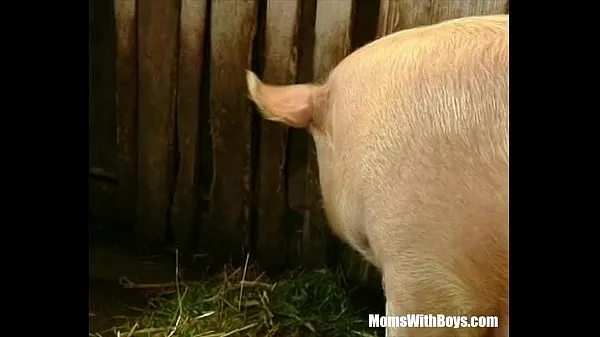 Brunette Lady Farmer Hairy Pussy Barn Fucked friss videó megjelenítése