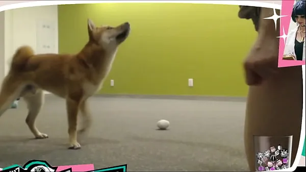 Mostrar Streamer de Twitch sin sujetador juega con Doggo vídeos nuevos