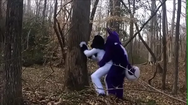 Mostrar Pareja de Fursuit apareándose en el bosque vídeos nuevos