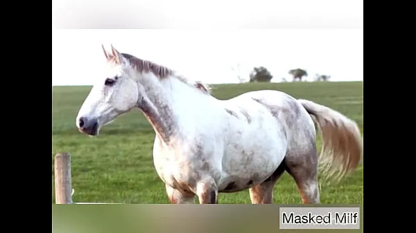 Tampilkan Horny Milf takes giant horse cock dildo compilation | Masked Milf Video segar