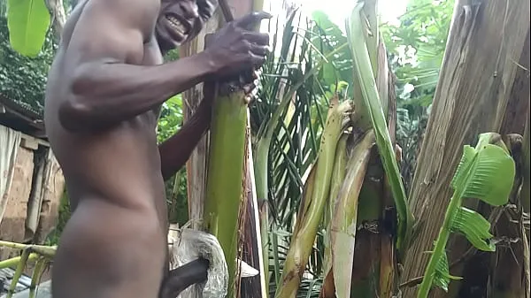 Fucking plantain tree to cum Yeni Videoyu göster